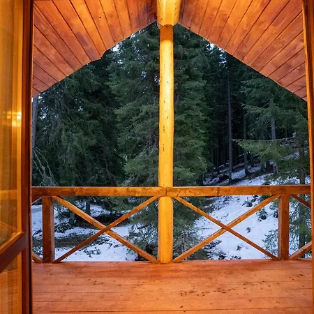 власовъ Hotel Pamporovo