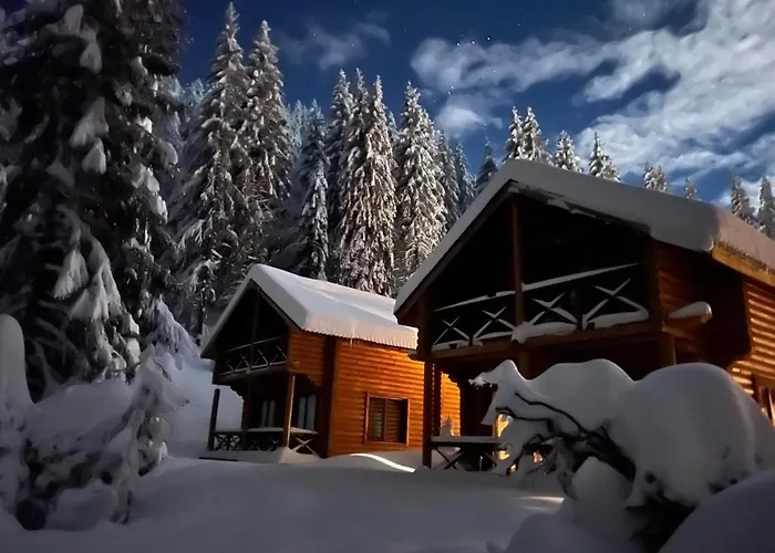 власовъ 酒店 3*